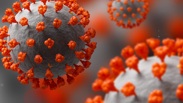 Ist eine Hafenrundfahrt in Hamburg trotz Corona möglich? Coronavirus Hafenrundfahrt